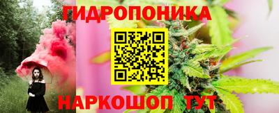 mdpv Можга