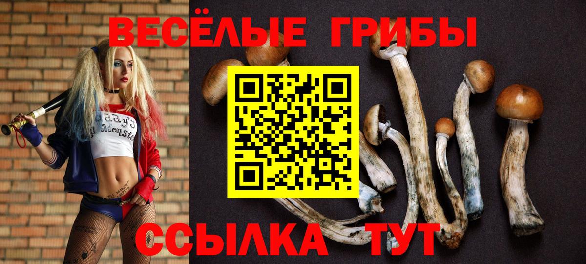 где купить наркоту  Псилоцибиновые грибы мухоморы  Вход с VPN  Чусовой  Галлюциногенные грибы MAGIC MUSHROOMS 